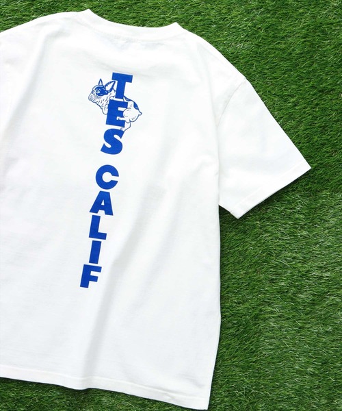The Endless Summer(エンドレスサマー)の「TES CAL FLOCK T-SHIRT / Tシャツ(Tシャツ/カットソー・メンズ・ブラック/アイボリー/ホワイト/ネイビー・SMALL/MEDIUM/LARGE/X-LARGE/XX-LARGE)」の2枚目の写真