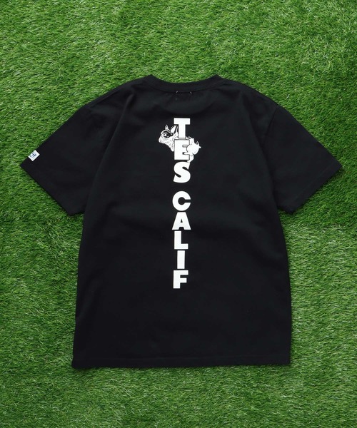 The Endless Summer(エンドレスサマー)の「TES CAL FLOCK T-SHIRT / Tシャツ(Tシャツ/カットソー・メンズ・ブラック/アイボリー/ホワイト/ネイビー・SMALL/MEDIUM/LARGE/X-LARGE/XX-LARGE)」の7枚目の写真