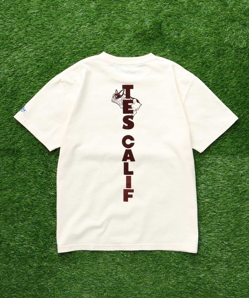 The Endless Summer(エンドレスサマー)の「TES CAL FLOCK T-SHIRT / Tシャツ(Tシャツ/カットソー・メンズ・ブラック/アイボリー/ホワイト/ネイビー・SMALL/MEDIUM/LARGE/X-LARGE/XX-LARGE)」の11枚目の写真