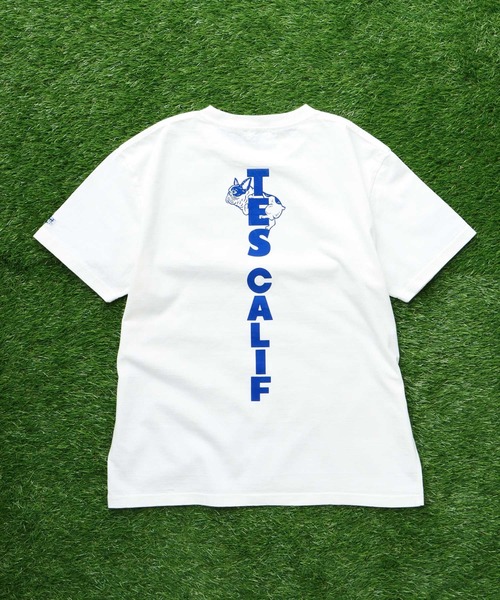 The Endless Summer(エンドレスサマー)の「TES CAL FLOCK T-SHIRT / Tシャツ(Tシャツ/カットソー・メンズ・ブラック/アイボリー/ホワイト/ネイビー・SMALL/MEDIUM/LARGE/X-LARGE/XX-LARGE)」の15枚目の写真