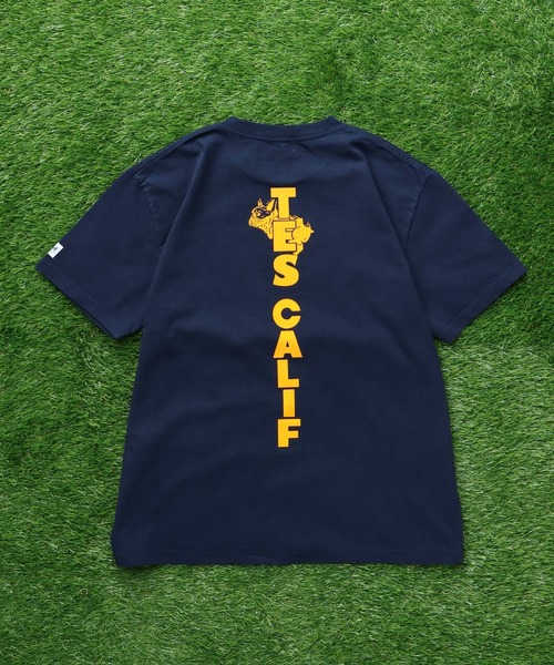 The Endless Summer(エンドレスサマー)の「TES CAL FLOCK T-SHIRT / Tシャツ(Tシャツ/カットソー・メンズ・ブラック/アイボリー/ホワイト/ネイビー・SMALL/MEDIUM/LARGE/X-LARGE/XX-LARGE)」の19枚目の写真