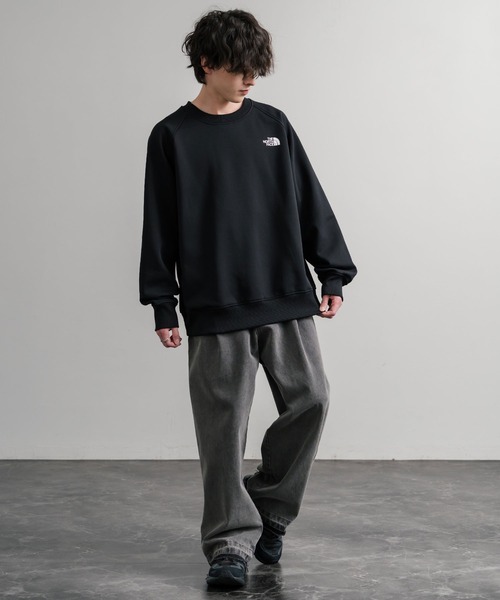 THE NORTH FACE ザ・ノースフェイス MEN S RAGLAN REDBOX CREW/バック