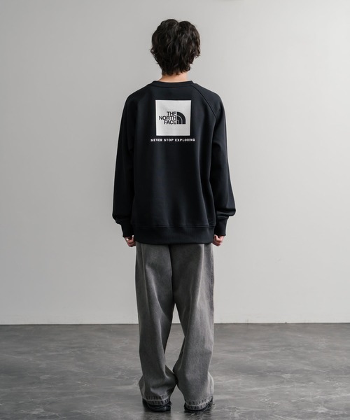 THE NORTH FACE ザ・ノースフェイス MEN S RAGLAN REDBOX CREW/バック
