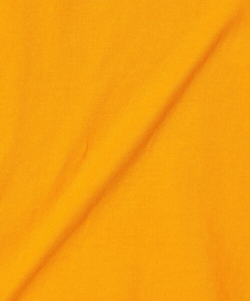 FREAK'S STORE(フリークスストア)の「vintage college logo TEE/ヴィンテージ カレッジロゴTシャツ(Tシャツ/カットソー・レディース・オフホワイト/オレンジ/イエロー・フリ-)」の21枚目の写真