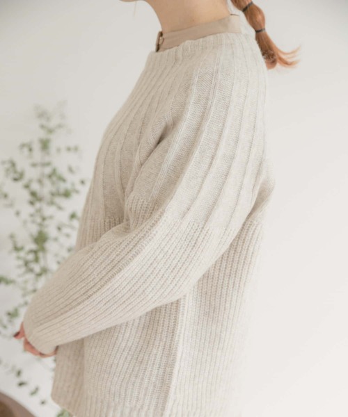 ITEMS URBANRESEARCH(アイテムズ アーバンリサーチ)の「ハイネックニット(ニット/セーター・レディース・ピンク/アイボリー/ミント・FREE)」の15枚目の写真