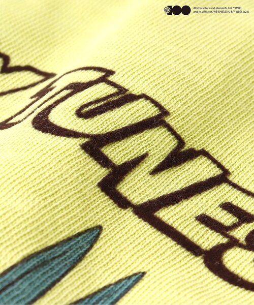 F.O.KIDS（エフオーキッズ）の「【WEB限定】WB100th LOONEY TUNES ART TEE（ルーニー・テューンズ）（Tシャツ/カットソー・キッズ・キナリ/オレンジ/パープル/グリーン・100/110/120/80/90/140/130）」の21枚目の写真