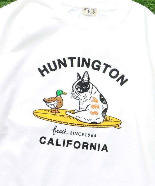 The Endless Summer（エンドレスサマー）の「TES BUHI-DUCK T-SHIRT / Tシャツ（Tシャツ/カットソー・メンズ・ブラック/グレー/ホワイト/レッド/ネイビー・SMALL/MEDIUM/LARGE/X-LARGE/XX-LARGE）」の14枚目の写真