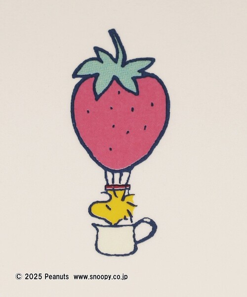 AfternoonTea - クレアALICEとpeanuts✖︎Afternoonteaミニプレート 61Mbsw7kB9L._UF1000,1000_QL80_.jpg