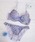 SaneiiTGCj́uyFeminine Stylezt[`FbNvgI{ꂳxUP!!t䂫Ă܂iuW[jvbu[