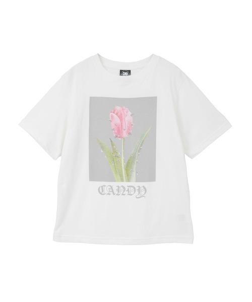 Candy Stripper(キャンディストリッパー)の「PIERCED TULIP Tシャツ(Tシャツ/カットソー・レディース・パープル/ライトブルー/ブラック/オフホワイト・M/L/XL)」の1枚目の写真