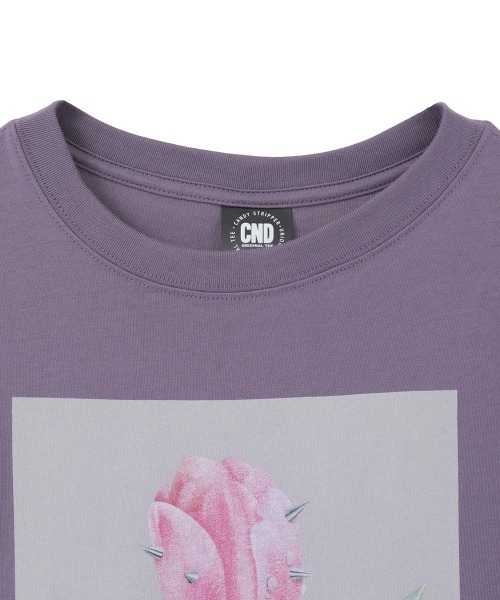 Candy Stripper(キャンディストリッパー)の「PIERCED TULIP Tシャツ(Tシャツ/カットソー・レディース・パープル/ライトブルー/ブラック/オフホワイト・M/L/XL)」の6枚目の写真