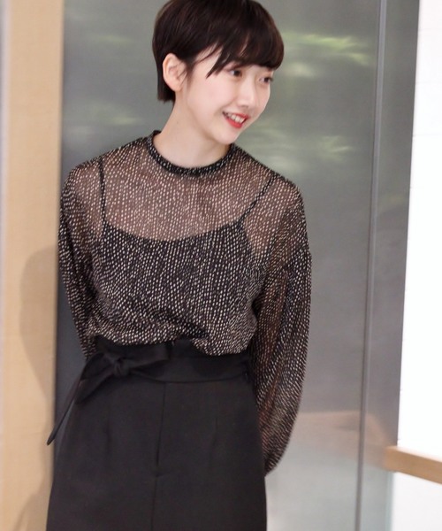 plage（プラージュ）の「ライトジョーゼットブラウス◆（シャツ/ブラウス・レディース・ブラック/ブラウン・FREE）」の2枚目の写真