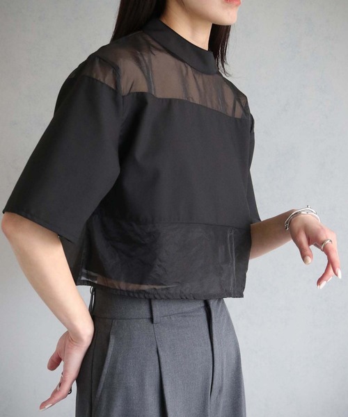 cheriella(シェリエラ)の「【cheriella】WEB限定シアー切替えプルオーバー(シャツ/ブラウス・レディース・アイボリー/ブラック/ブラウン・M)」の2枚目の写真