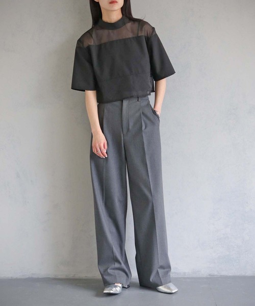 cheriella(シェリエラ)の「【cheriella】WEB限定シアー切替えプルオーバー(シャツ/ブラウス・レディース・アイボリー/ブラック/ブラウン・M)」の18枚目の写真
