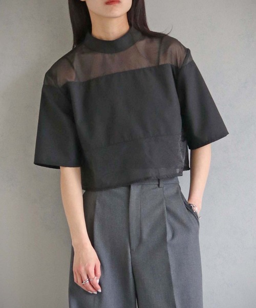 cheriella(シェリエラ)の「【cheriella】WEB限定シアー切替えプルオーバー(シャツ/ブラウス・レディース・アイボリー/ブラック/ブラウン・M)」の12枚目の写真