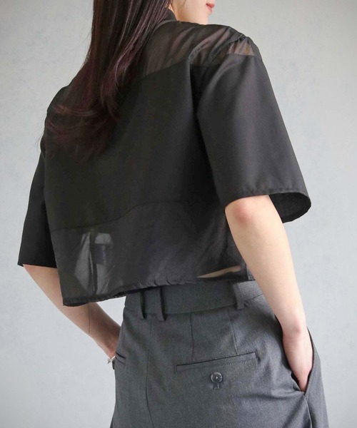 cheriella(シェリエラ)の「【cheriella】WEB限定シアー切替えプルオーバー(シャツ/ブラウス・レディース・アイボリー/ブラック/ブラウン・M)」の15枚目の写真