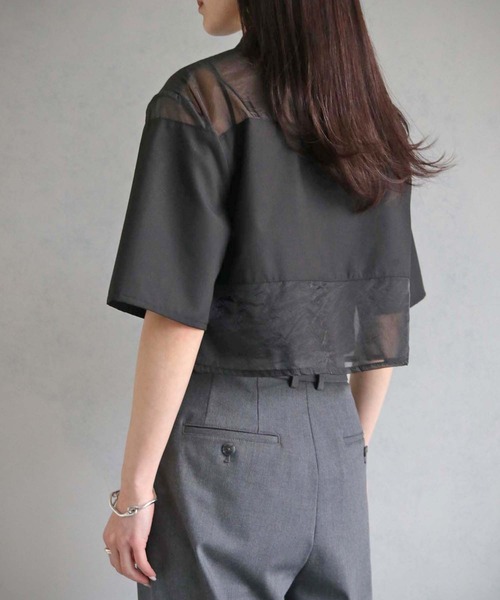 cheriella(シェリエラ)の「【cheriella】WEB限定シアー切替えプルオーバー(シャツ/ブラウス・レディース・アイボリー/ブラック/ブラウン・M)」の16枚目の写真