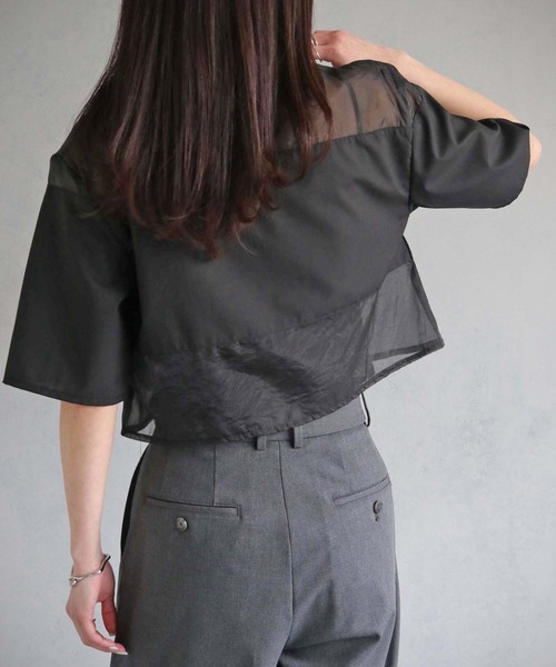 cheriella(シェリエラ)の「【cheriella】WEB限定シアー切替えプルオーバー(シャツ/ブラウス・レディース・アイボリー/ブラック/ブラウン・M)」の17枚目の写真