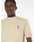 Maison Kitsunei]Lclj́uDRESSED FOX COMFORT  TEE-SHIRTiTVc/Jbg\[jvbx[W