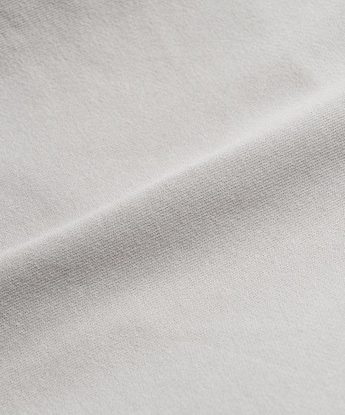 VASTIC（バスティック）の「フラッグフードパーカー ジップアップ_ライトグレー（パーカー・メンズ・その他・LARGE/MEDIUM）」の9枚目の写真
