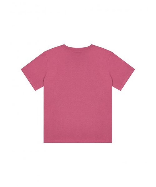 LUVISTRUE(ラヴイズトゥルー)の「DN STAR LOGO TEE(PINK)(Tシャツ/カットソー・レディース・その他・FREE)」の3枚目の写真