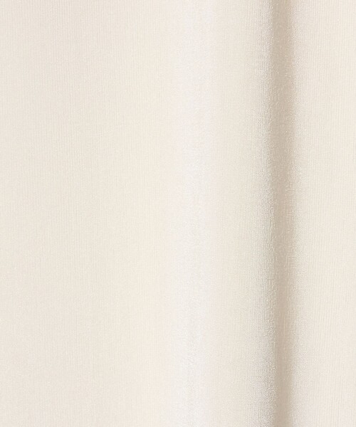 A DAY IN THE LIFE UNITED ARROWS(アデイインザライフユナイテッドアローズ)の「シャイニーリブ カットソー <A DAY IN THE LIFE>(Tシャツ/カットソー・レディース・ライム/オフホワイト/ダークグレー・FREE)」の19枚目の写真