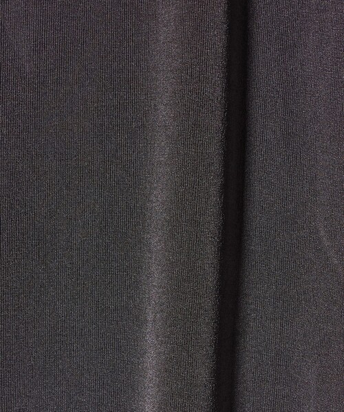 A DAY IN THE LIFE UNITED ARROWS(アデイインザライフユナイテッドアローズ)の「シャイニーリブ カットソー <A DAY IN THE LIFE>(Tシャツ/カットソー・レディース・ライム/オフホワイト/ダークグレー・FREE)」の22枚目の写真