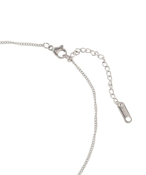 AMERICAN HOLIC(アメリカンホリック)の「【ステンレス】コイントップスキニーチェーンネックレス(ネックレス・レディース・シルバー/ゴールド・FREE)」の8枚目の写真