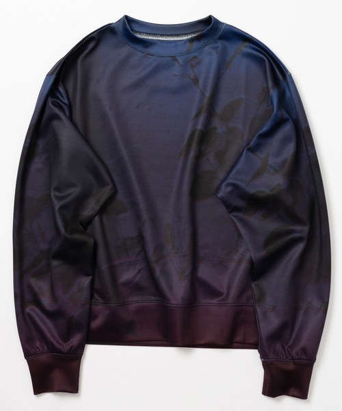 Wizzard(ウィザード)の「Wizzard ウィザード / PRINT SWEAT "Your atomospheric colour atlas" プリントスウェット / W23AW-DC060(スウェット・メンズ・ホワイト/グリーン/ネイビー・3/2/1/0)」の2枚目の写真
