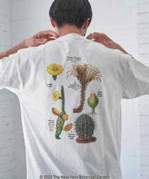 coen | NY　BotanicalGarden（ニューヨークボタニカルガーデン）プリントTシャツ(Tシャツ/カットソー)