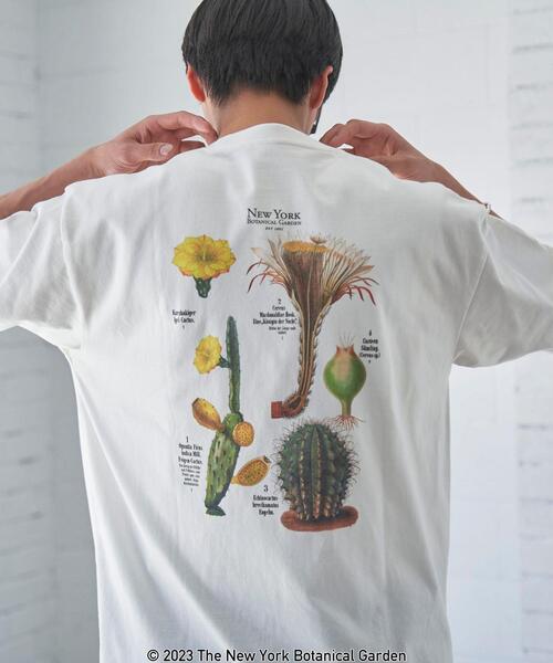 coen(コーエン)の「NY BotanicalGarden(ニューヨークボタニカルガーデン)プリントTシャツ(Tシャツ/カットソー・メンズ・その他1/ホワイト/ダークグレー・L/S/XL/M)」の2枚目の写真