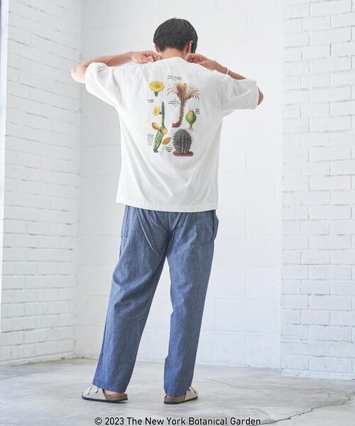 coen(コーエン)の「NY BotanicalGarden(ニューヨークボタニカルガーデン)プリントTシャツ(Tシャツ/カットソー・メンズ・その他1/ホワイト/ダークグレー・L/S/XL/M)」の5枚目の写真