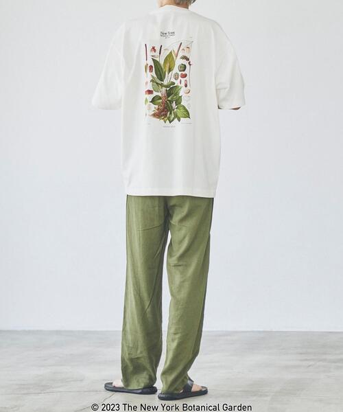 coen(コーエン)の「NY BotanicalGarden(ニューヨークボタニカルガーデン)プリントTシャツ(Tシャツ/カットソー・メンズ・その他1/ホワイト/ダークグレー・L/S/XL/M)」の9枚目の写真