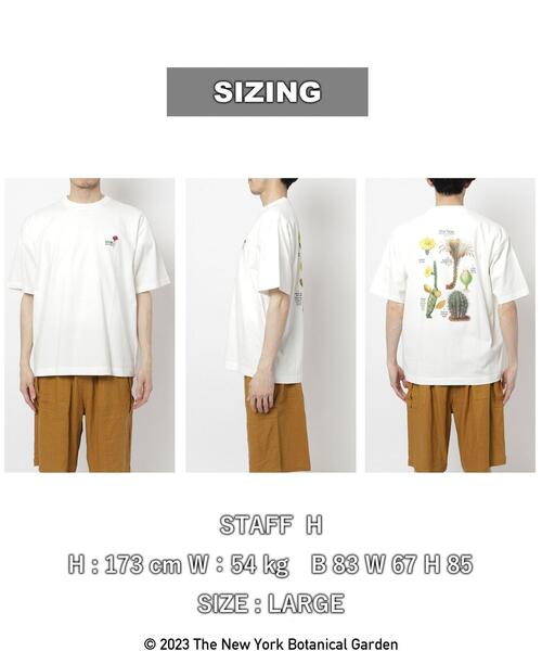 coen(コーエン)の「NY BotanicalGarden(ニューヨークボタニカルガーデン)プリントTシャツ(Tシャツ/カットソー・メンズ・その他1/ホワイト/ダークグレー・L/S/XL/M)」の17枚目の写真