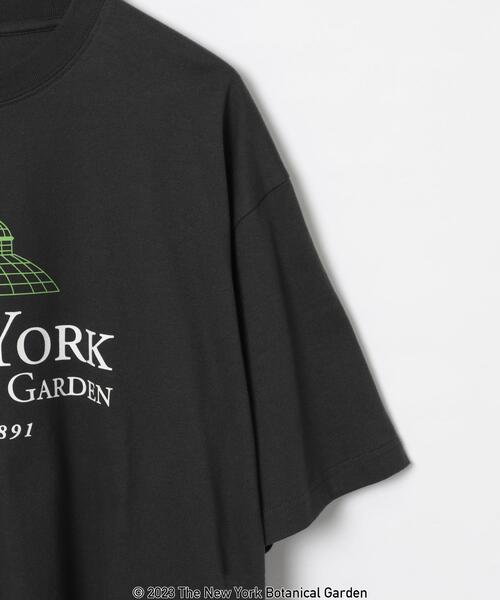 coen(コーエン)の「NY BotanicalGarden(ニューヨークボタニカルガーデン)プリントTシャツ(Tシャツ/カットソー・メンズ・その他1/ホワイト/ダークグレー・L/S/XL/M)」の20枚目の写真