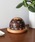 HIGHTIDEinC^Chj́uHERE by DETAIL Dome Perpetual Calendar h[ p[y`A J_[ IuWFiCeAG݁jvb̑