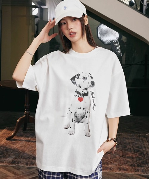 2023春夏　ピッコーネクラブ　プルオーバー03　白 LOTUS］Urtla High Gauge Rib 袖リブクロスネックプルオーバー