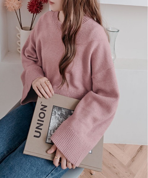 kirakiraShop（キラキラショップ）の「ワイド スリーブ ショート ニット（ニット/セーター・レディース・チャコール/ベージュ/ネイビー/ピンク/ブルー・FREE）」の21枚目の写真