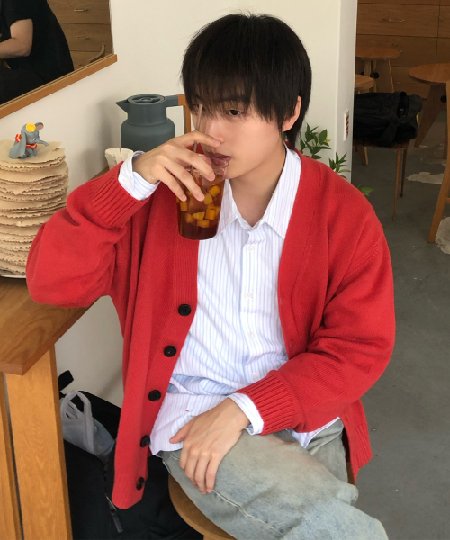 LEIRE（ルアール）の「エッセンシャルコットンVネックニットカーディガン[ブリック]（カーディガン/ボレロ・メンズ・その他・MEDIUM/LARGE/X-LARGE）」の4枚目の写真