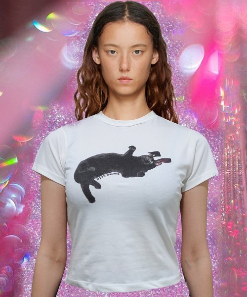 2113 STUDIO(イイルイルサムスタジオ)の「エアロクロップTシャツ7(Tシャツ/カットソー・レディース・その他・FREE)」の1枚目の写真