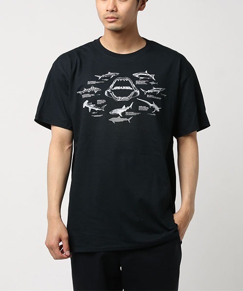TONE SELECT WEAR（トーンセレクトウェア）の「【TONE USA】THE PRINTED IMAGE PRINT TEE (UN)（Tシャツ/カットソー・メンズ・ネイビー/ブラック/サックスブルー/カーキ・LARGE/MEDIUM/SMALL）」の2枚目の写真