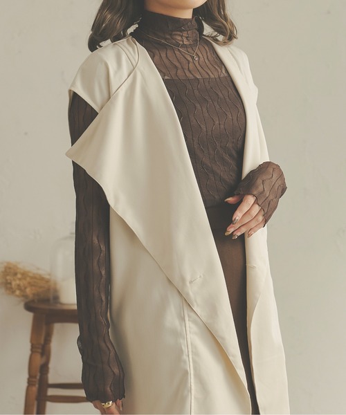 Ambre Neige(アンブルネージュ)の「シアーウェーブハイネックトップス/WEB/EC限定商品(Tシャツ/カットソー・レディース・ブラック/ダークブラウン/ベージュ/アイボリー・FREE)」の15枚目の写真