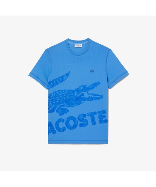 LACOSTE（ラコステ）の「オーバーサイズプリントTシャツ（Tシャツ/カットソー・メンズ・ブルー/ネイビー/ホワイト・4/3/5/2）」の15枚目の写真