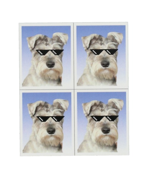 SPINNS（スピンズ）の「IDフォトデザイン オリジナルステッカー（ステッカー/テープ・レディース・B/A/C・ONESIZE）」の2枚目の写真