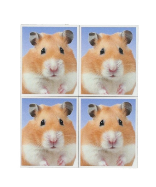 SPINNS（スピンズ）の「IDフォトデザイン オリジナルステッカー（ステッカー/テープ・レディース・B/A/C・ONESIZE）」の3枚目の写真