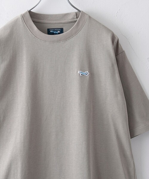 PENNEYS（ぺニーズ）の「Penneys（ぺニーズ）別注クルーネックTシャツ（WEB限定カラー）（Tシャツ/カットソー・メンズ・ホワイト/ブラック/ベージュ/ネイビー/その他1/その他2/ケリーグリーン/ロイヤルブルー・S/M/L/XL）」の3枚目の写真