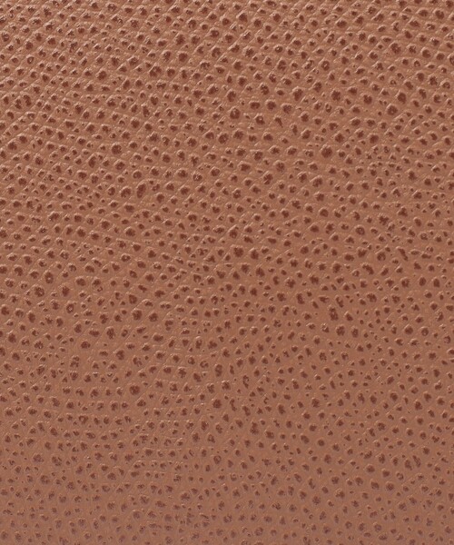 CARBOTTI（カルボッティ）の「CARBOTTI DIANA 321 ハンドバッグ（ハンドバッグ・レディース・ブラック/ベージュ/キャメル・FREE）」の19枚目の写真