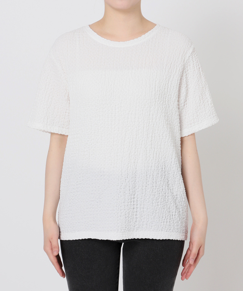 セール】ポコジャガードTシャツ（Tシャツ/カットソー）｜JOURNAL