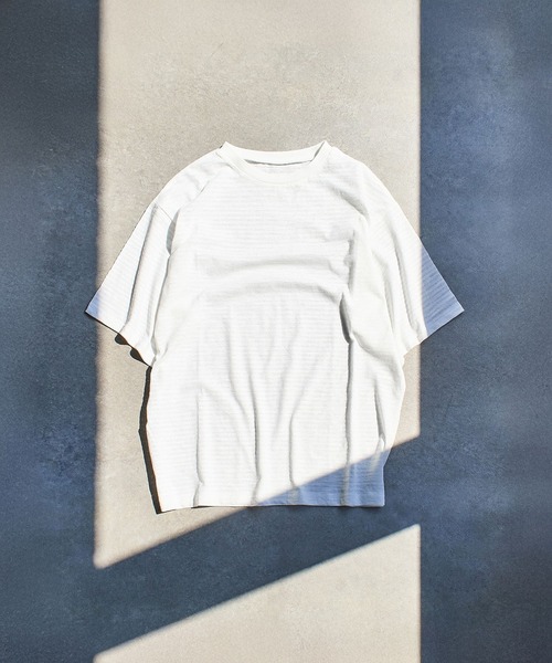 ROSE BUD(ローズバッド)の「SHEER STRIPE S/S TOP(Tシャツ/カットソー・レディース・ホワイト/ピンク/ブラック・ONE SIZE)」の1枚目の写真