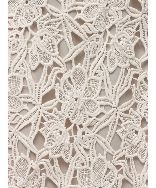 TONAL（トーナル）の「エンブロイダリーレースタイトスカート（スカート・レディース・ミント/モカ/アイボリー・SMALL/MEDIUM）」の19枚目の写真